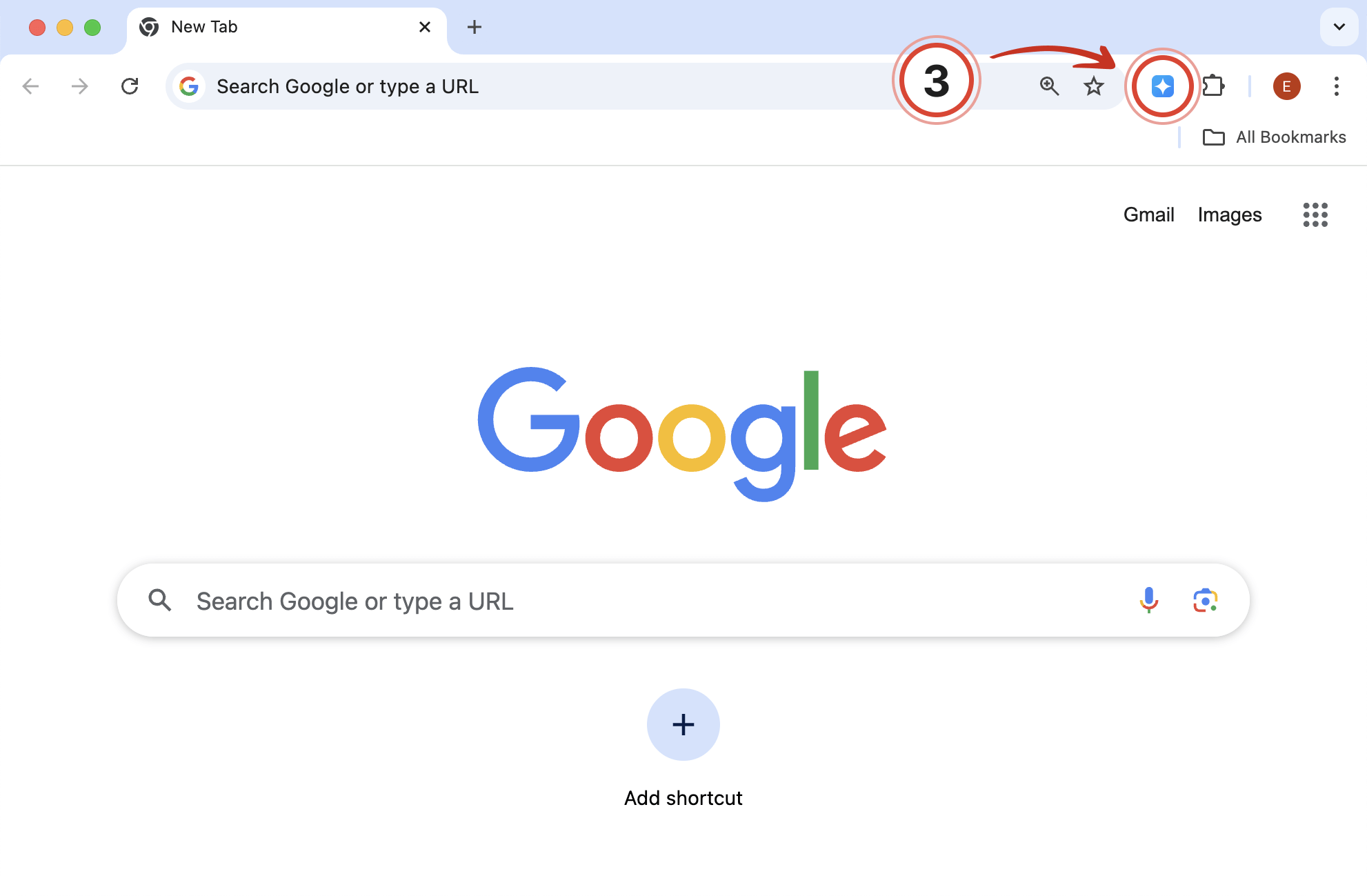 How to open Summarize AI